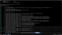 entorno-desarrollo-en-docker-para-vuejs-build.png